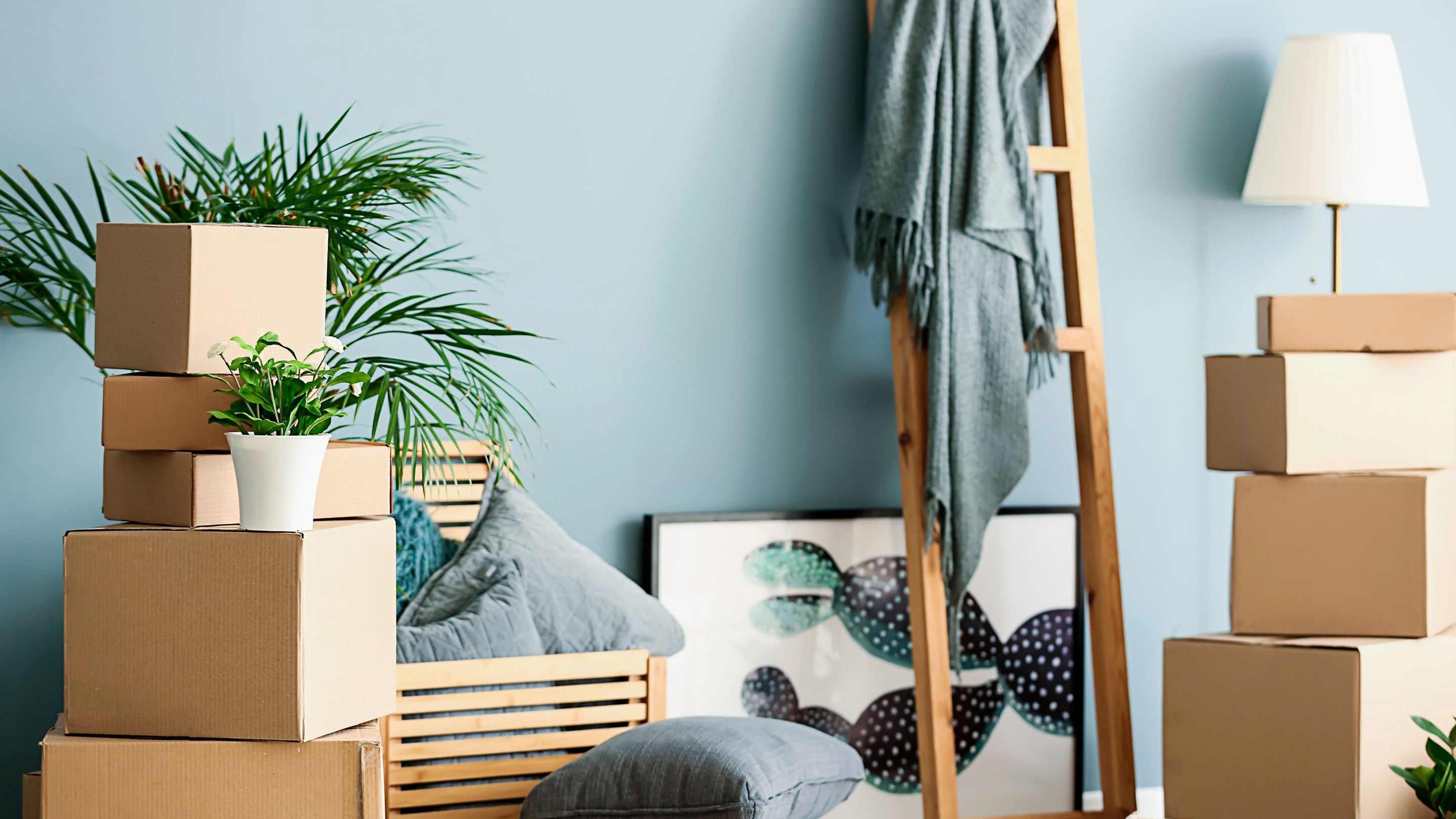Minimize Waste Your Next Moving Day Impact Collective